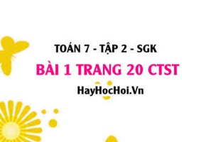 Bài 1 trang 20 Toán 7 Tập 2 Chân trời sáng tạo: Đại Lượng Tỉ Lệ Nghịch